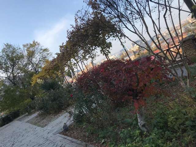 Дома для отпуска Bethlehem Terrace Тбилиси-14